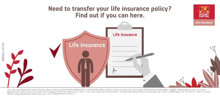 Need to transfer your life insurance policy? Find out if you can here.