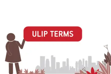 Common ULIP terminologies you should know about