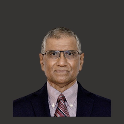 Krishna Kishore Maheshwari - Non-Executive Director - ABSLI